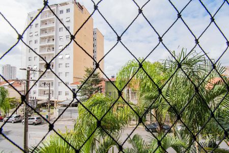 Vista da Sala de apartamento para alugar com 3 quartos, 81m² em Cambuci, São Paulo