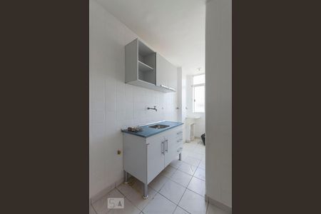 Cozinha (Armários) de apartamento para alugar com 2 quartos, 45m² em Cambuci, São Paulo