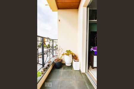 Varanda de apartamento para alugar com 3 quartos, 78m² em Mansões Santo Antônio, Campinas