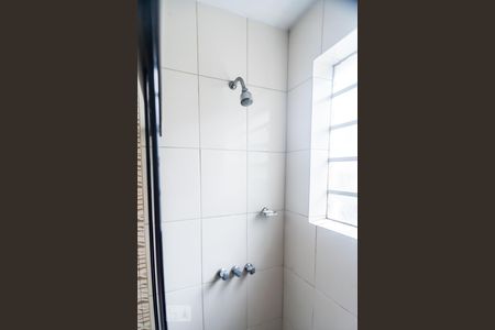 Banhheiro de apartamento para alugar com 3 quartos, 82m² em Rio Branco, Porto Alegre