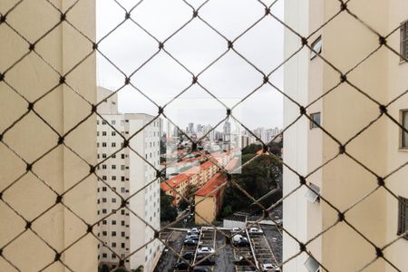 Vista de apartamento para alugar com 2 quartos, 50m² em Vila Nova Cachoeirinha, São Paulo