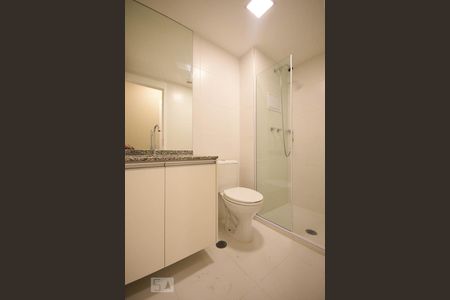 Banheiro de apartamento à venda com 2 quartos, 55m² em Instituto de Previdência, São Paulo