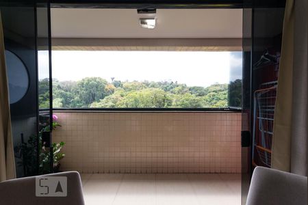 Varanda de apartamento à venda com 3 quartos, 100m² em Castelo, Belo Horizonte