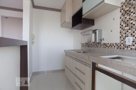 Cozinha de apartamento para alugar com 2 quartos, 46m² em Jardim Nova Europa, Campinas