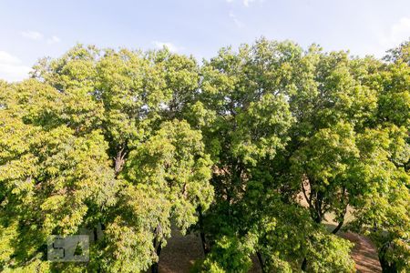 VISTA DO QUARTO 1 de apartamento para alugar com 3 quartos, 100m² em Asa Norte, Brasília