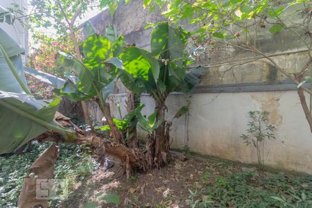 Vista Sala 1 de casa para alugar com 4 quartos, 250m² em Vila Monumento, São Paulo