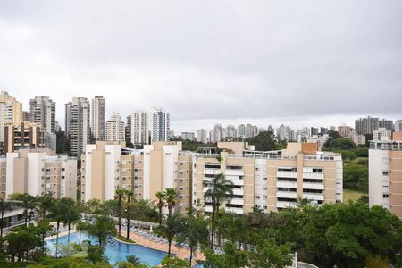 Vista de apartamento para alugar com 4 quartos, 133m² em Paraíso do Morumbi, São Paulo