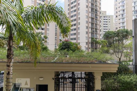 Vista da Varanda da Sala de apartamento para alugar com 2 quartos, 50m² em Jardim Celeste, São Paulo