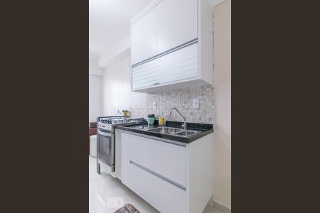Cozinha de apartamento para alugar com 2 quartos, 58m² em Campestre, Santo André