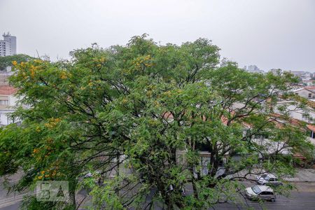 Vista Varanda Sala de apartamento para alugar com 3 quartos, 126m² em Vila Ipojuca, São Paulo