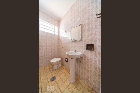 Lavabo  de casa para alugar com 3 quartos, 159m² em Jardim Stella, Santo André