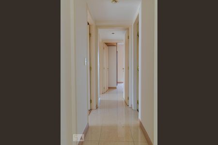 Corredor de apartamento à venda com 3 quartos, 170m² em Jardim Carlos Gomes, Campinas