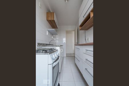 Cozinha de apartamento à venda com 2 quartos, 55m² em Vila Paulista, São Paulo