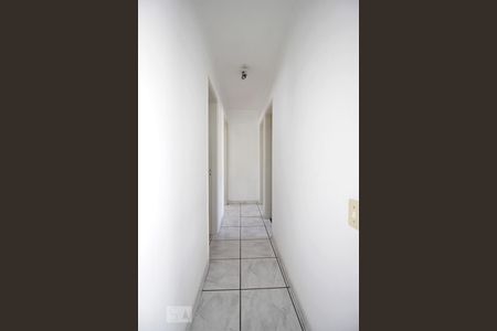 Corredor de apartamento para alugar com 3 quartos, 73m² em Vila Suzana, São Paulo