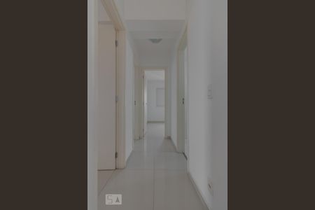 Corredor de apartamento para alugar com 3 quartos, 78m² em Vila Prudente, São Paulo