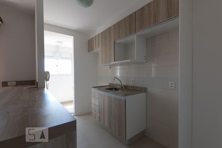 Cozinha de apartamento para alugar com 2 quartos, 55m² em Mansões Santo Antônio, Campinas