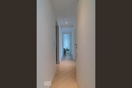 Corredor de apartamento para alugar com 3 quartos, 255m² em Boa Vista, Curitiba