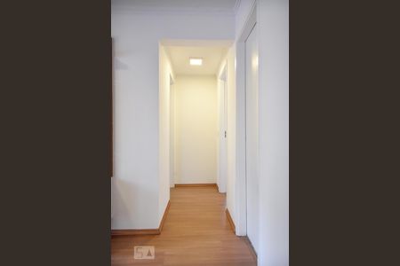 Corredor de apartamento para alugar com 2 quartos, 70m² em Jardim Parque Morumbi, São Paulo