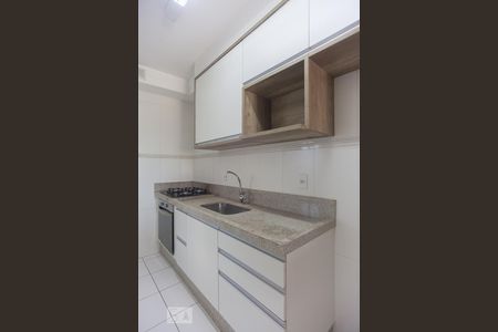 Cozinha de apartamento para alugar com 3 quartos, 84m² em Vila Proost de Souza, Campinas