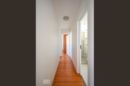 Corredor de apartamento para alugar com 2 quartos, 48m² em Fazenda Morumbi, São Paulo