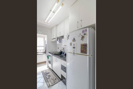 Cozinha de apartamento para alugar com 2 quartos, 50m² em Vila Francisco Matarazzo, Santo André