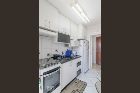 Cozinha de apartamento para alugar com 2 quartos, 50m² em Vila Francisco Matarazzo, Santo André