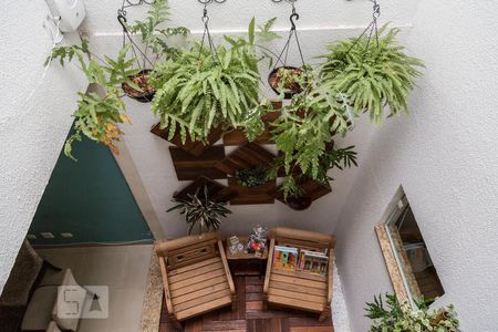 Jardim de Inverno de casa para alugar com 3 quartos, 217m² em Vila Nova Savoia, São Paulo