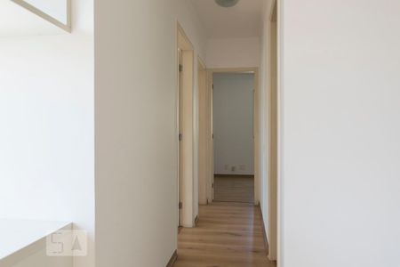 Corredor de apartamento para alugar com 3 quartos, 66m² em Cambuci, São Paulo