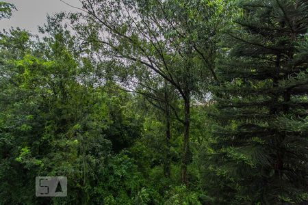 Vista da Sala de apartamento para alugar com 3 quartos, 215m² em Nossa Senhora das Graças, Canoas