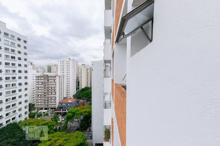 Vista da Varanda de apartamento para alugar com 1 quarto, 50m² em Moema, São Paulo