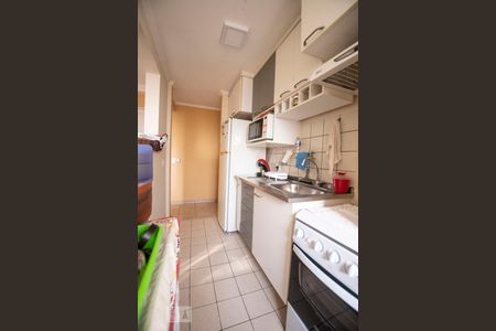 cozinha de apartamento para alugar com 2 quartos, 52m² em Jardim Cura D’ars, Campinas