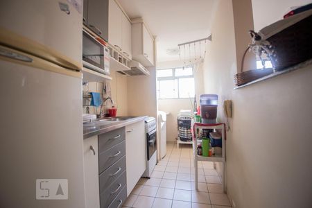 cozinha de apartamento para alugar com 2 quartos, 52m² em Jardim Cura D’ars, Campinas