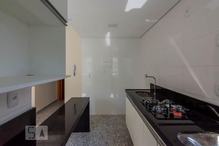 Cozinha de apartamento para alugar com 1 quarto, 40m² em Funcionários, Belo Horizonte