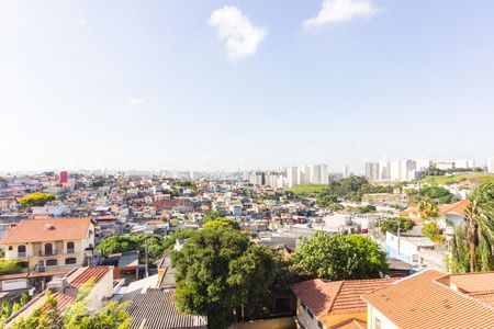 Terrenos, Lotes e Condomínios para alugar em Vila Pereira Barreto