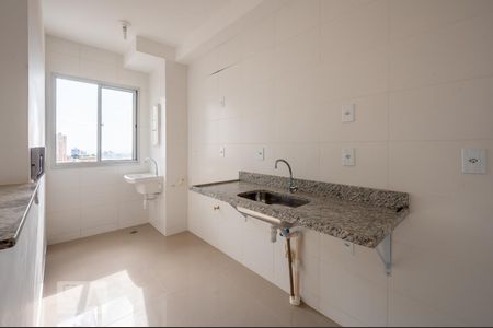 Cozinha de apartamento para alugar com 2 quartos, 48m² em Samambaia Sul (samambaia), Brasília