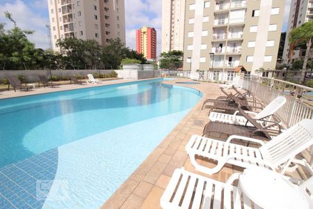 Área comum - Piscina de apartamento para alugar com 2 quartos, 72m² em Piqueri, São Paulo