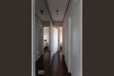 Corredor de apartamento para alugar com 2 quartos, 58m² em Residencial Parque da Fazenda, Campinas