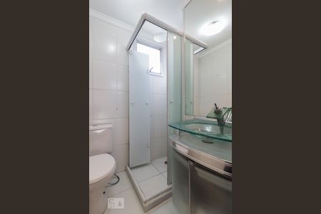 Banheiro de apartamento para alugar com 2 quartos, 48m² em Lapa de Baixo, São Paulo