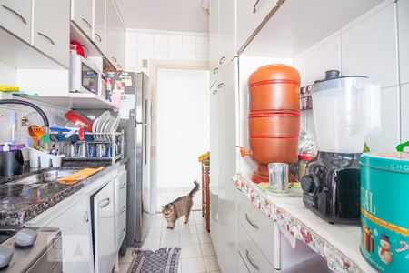 Cozinha de apartamento à venda com 2 quartos, 50m² em Jardim Celeste, São Paulo