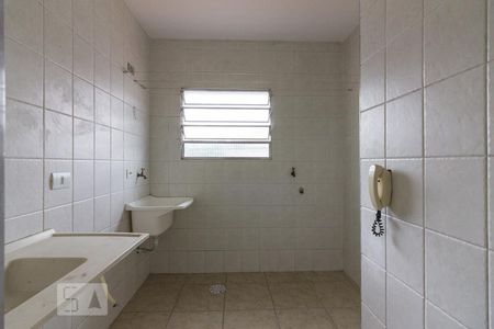 Cozinha de apartamento para alugar com 1 quarto, 33m² em Água Fria, São Paulo