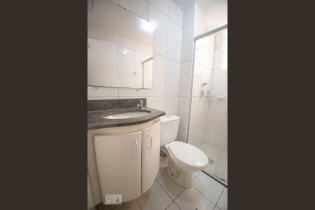 banheiro de apartamento à venda com 2 quartos, 58m² em Parque Residencial Vila União, Campinas