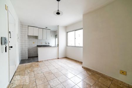 Sala de apartamento à venda com 2 quartos, 50m² em Vila Mazzei, São Paulo