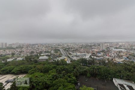 Vista de apartamento para alugar com 2 quartos, 49m² em Vila Príncipe de Gales, Santo André