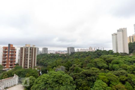 Vista da sala de apartamento para alugar com 3 quartos, 220m² em Vila Andrade, São Paulo