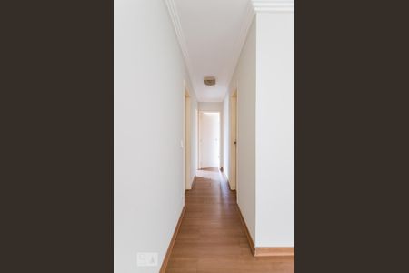 Corredor de apartamento para alugar com 3 quartos, 80m² em Jardim Flamboyant, Campinas