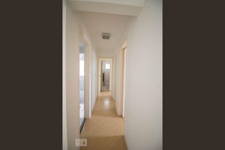 Corredor de apartamento para alugar com 2 quartos, 65m² em  Vila Principe de Gales, Santo André