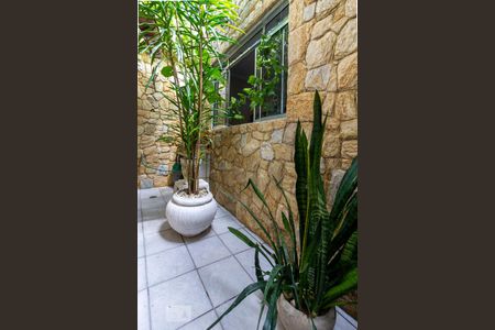 Jardim de Inverno de casa à venda com 2 quartos, 167m² em Vila Caju, São Paulo