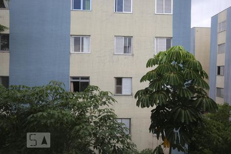 Vista da Sala de apartamento para alugar com 3 quartos, 65m² em Butantã, São Paulo