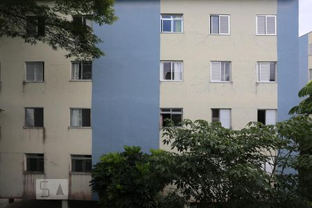 Vista do Quarto 1 de apartamento para alugar com 3 quartos, 65m² em Butantã, São Paulo