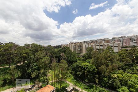 Vista de apartamento para alugar com 1 quarto, 60m² em Paraíso do Morumbi, São Paulo